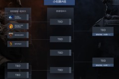 3DMAX vs TYLOO即将开战，中欧对抗引发关注